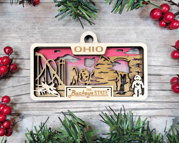 State License Plate Ornaments (All 50) & USA - Image 40